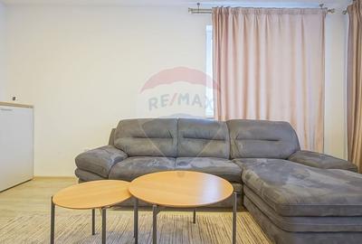 Apartament cu 2 camere de inchiriat la Grandis Residence - 15