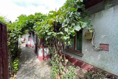 Casa central Giurgiu - 2