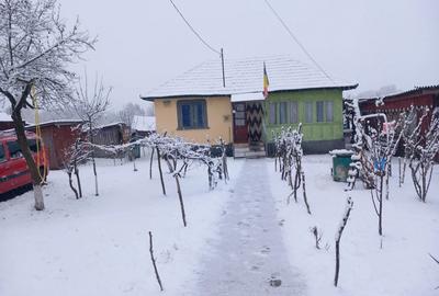 Casă în Urzica
