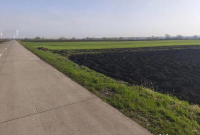 Teren în Satu Mare - 2