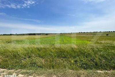 Teren de 8000 mp, în Mitocu Dragomirnei - 2
