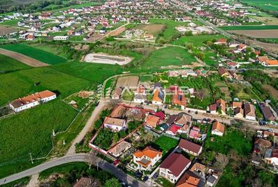 Casă de vis într-o oază de liniște - Bodrogul Nou, Arad - 6