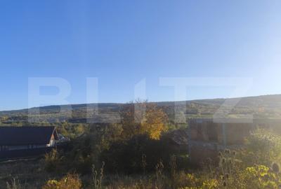 Teren intravilan 1700 mp, la asfalt, in Goruni-Tomesti - 4