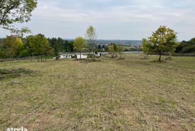 Teren de 11600 mp, în Viile Satu Mare - 4