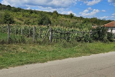 Teren de 1100 mp, în Tisău - 5