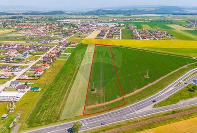 Teren Intravilan pentru dezvoltare imobiliara 15.600mp/Harman - 2