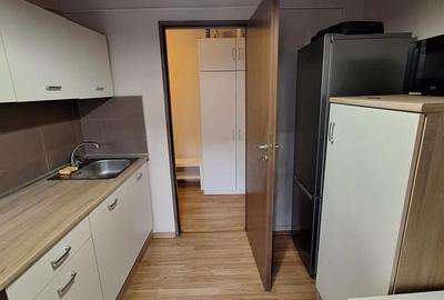 Apartament cu 2 camere semidecomandat, mobilat în Bucovina - 7