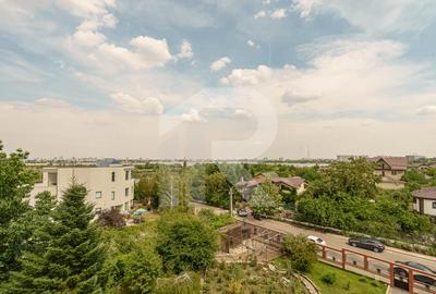 Casa cu teren de 3000 mp - ponton la lac - piscina si casa de oaspeti - 13