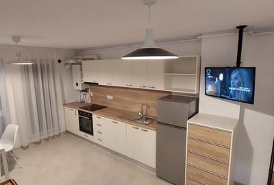 PRIMA CHIRIE Apartament de inchiriat 2 camere-2 balcoane-terasa,Turnisor! - 13