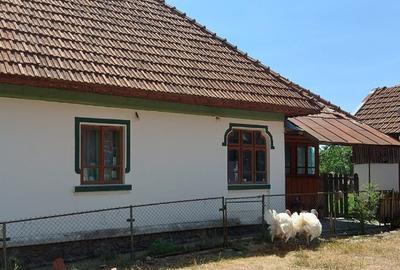 Casa + teren intravilan com. Polovragi - 5