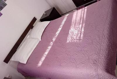 Garsonieră nedecomandată în Roșu - 4