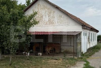 Spațiu comercial, de 7,000 mp, în Șagului - 15