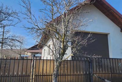 Casă cu 4 camere cu Teren 3000 Mp în Călinești - 11