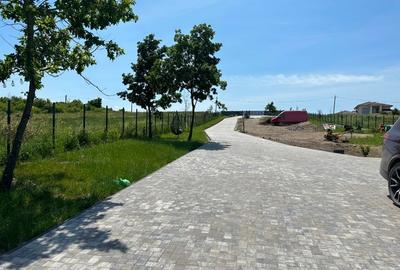 Teren 7680 mp Casa si Filigorie Utilitati str Izvorului la liziera  Padurii - 6