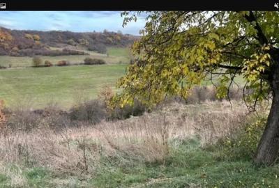 Teren intravilan,sat Sinmarghita, nr137 - 1