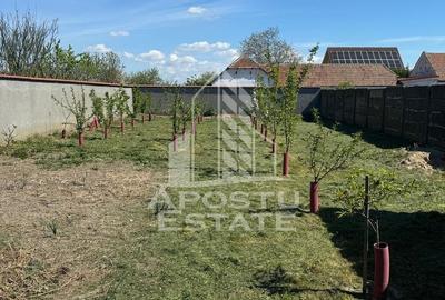 Casă individuală cu 5 camere cu Canalizare în Diniaș - 14