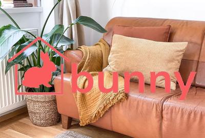 Garsonieră semidecomandată, mobilată în Armeneasca - 2