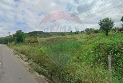 Teren agricol extravilan de 68403 mp, în Popești - 4