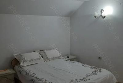 Vand Vila in Sta?iunea Montana Ranca jud Gorj - 8