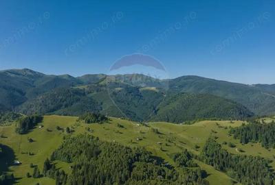 Casa / Vila cu 6 camere, in inima naturii, comision zero pt cumparator - 6