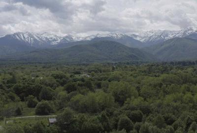 Casă cu 4 camere în Porumbacu de Sus - 7