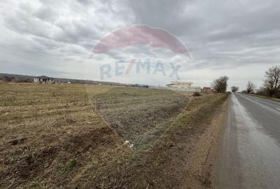 Teren Construcții intravilan de 750 mp, în Fântânele - 3