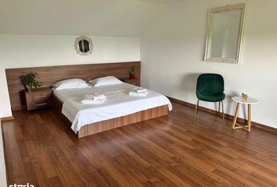 Spațiu comercial, de 25,000 mp, în Hărman - 11