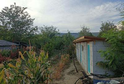 Casa cu curte si gradina - zona linistita si frumoasa Casa cu curte si gradina - zona linistita si frumoasa - 3