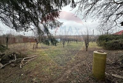 Casă individuală cu 6 camere cu Teren 2200 Mp în Periș - 7