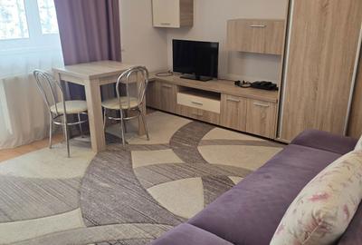 Garsonieră nedecomandată în Politehnica - 4