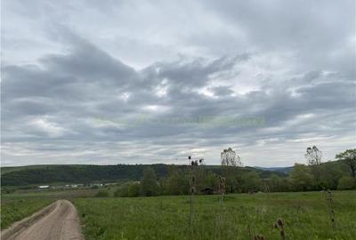 Oportunitate investitie | Teren 10 000 mp cu constructie 530 mp la 10 km de Viscri - 2