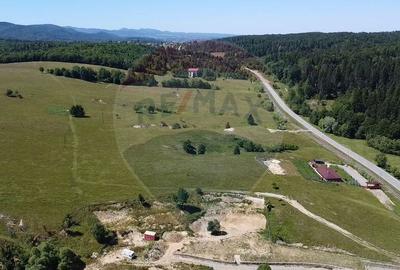 Teren 5,561mp Paltinoasa / Strada principala - 16