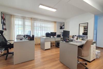 Proprietate superba situata in zona exclusivista a capitalei- SECTOR 1 - DOMENII - 6