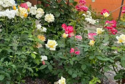 Casă cu 4 camere cu Teren 600 Mp în Unirii - 2