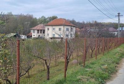 Casa Vila de vanzare, re?edin?a, ferma, Arge? - Valea Topologului. Lini?te, natura ?i aer curat ! - 4