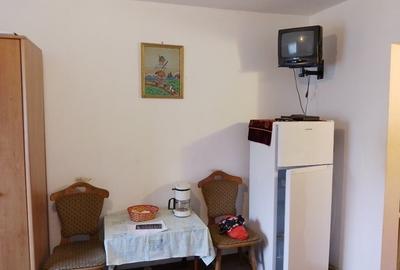 Garsonieră decomandată, mobilată în Buziașului - 3
