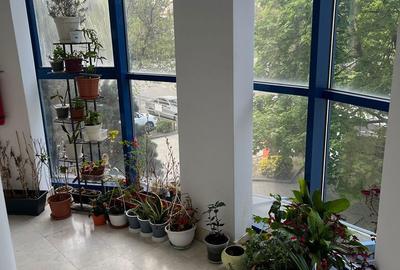 Apartament cu 2 camere, mobilat în Aradului - 10