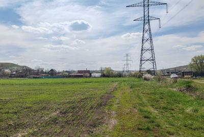 Spațiu comercial, în Gădălin - 8