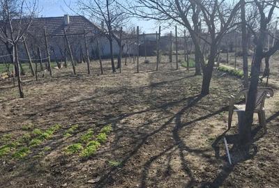 Casă cu 3 camere cu Teren 1326 Mp în Șagu - 3