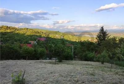 Teren de 1765 mp, în Podgoria - 3