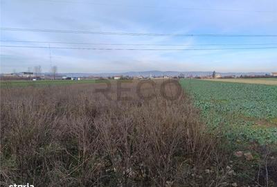 Teren de 5500 mp, în Oșorhei - 1