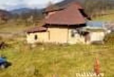 Casă cu 6 camere cu Teren 2700 Mp în Bradu - 4