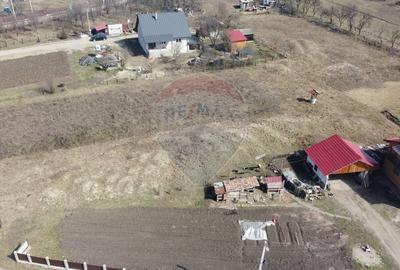 Teren Construcții intravilan de 3041 mp, în Aghireșu-Fabrici - 4