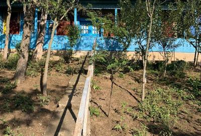 Casa Cuca 2700mp teren intravilan neinundabil 126 mp construiti 28000Euro Casa Cuca 2700mp teren intravilan neinundabil 126 mp construiti 28000Euro - 5