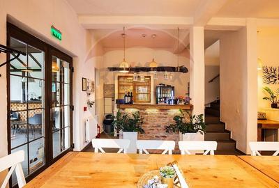 Vanzare pensiunea Casa Barolo din Vlaha - 11