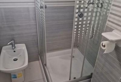 Apartament cu 2 camere în Craiovița Nouă - 3