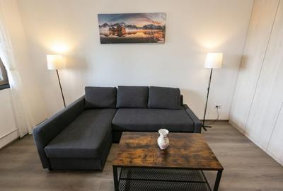 Garsoniera moderna, decomandata, 45mp, la 12 minute de metrou - Brancusi - 1