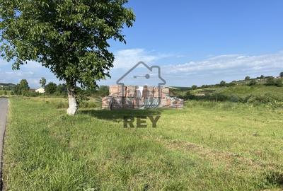 Teren HALA de vanzare iesirea din Sura Mare spre Hamba. - 5