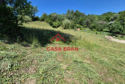 ●Teren intravilan in Breaza 4852mp 17e/mp● - 6