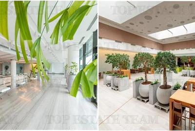 Spatiu de Birouri de 494 mp in Zona Baneasa - 1